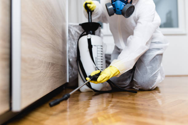 Best Emergency Pest Control  in Eau Claire, WI
