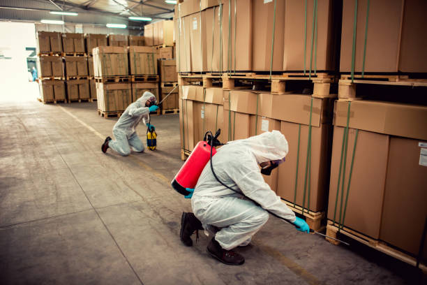 Best Best Pest Control Companies  in Eau Claire, WI