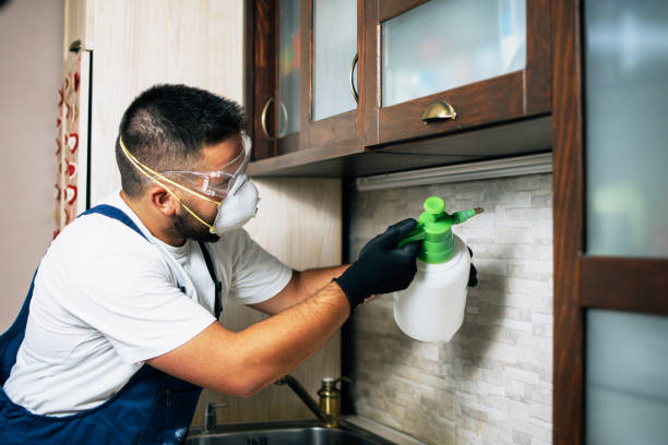 Best Best Pest Control Companies  in Eau Claire, WI