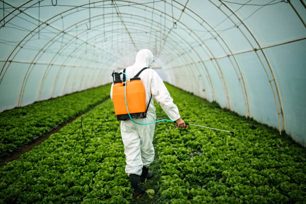 Best Pest Prevention Services  in Eau Claire, WI