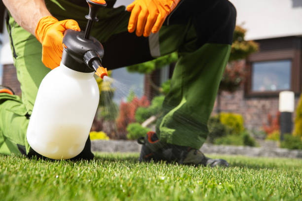 Best Bed Bug Extermination  in Eau Claire, WI