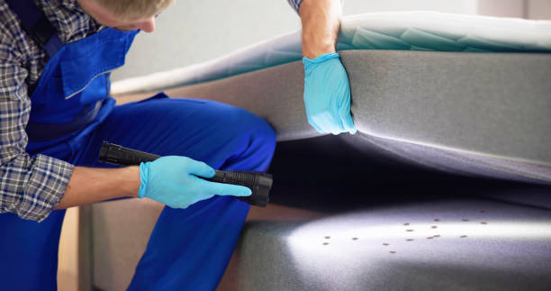 Flea Control Services in Eau Claire, WI