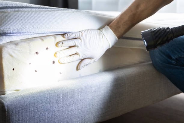 Best Wildlife Control Services  in Eau Claire, WI