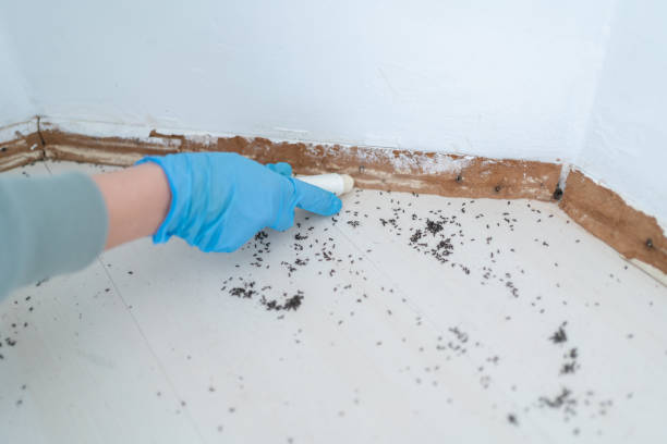 Best Pest Control for Businesses  in Eau Claire, WI